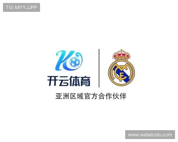 开云体育中国官方：合作伙伴与赞助企业的官方合作项目全面揭秘