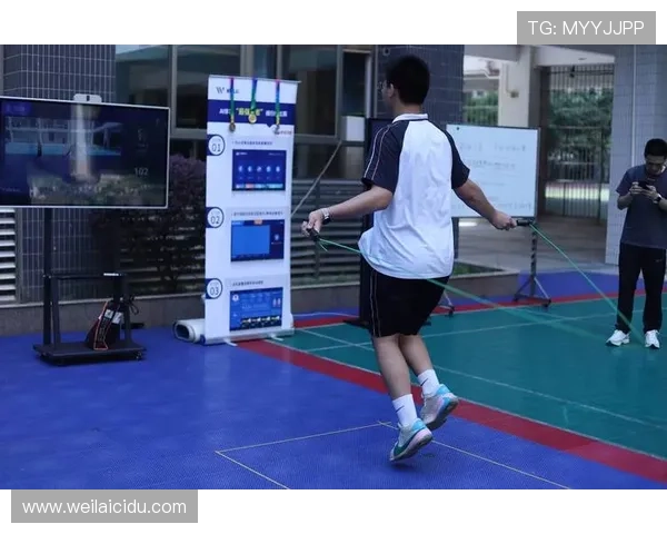 开云体育官方网页数据分析与用户行为研究报告