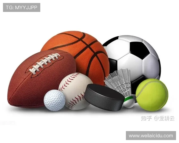 kai云体育网页版全面介绍与使用指南帮助玩家轻松畅享体育赛事直播体验