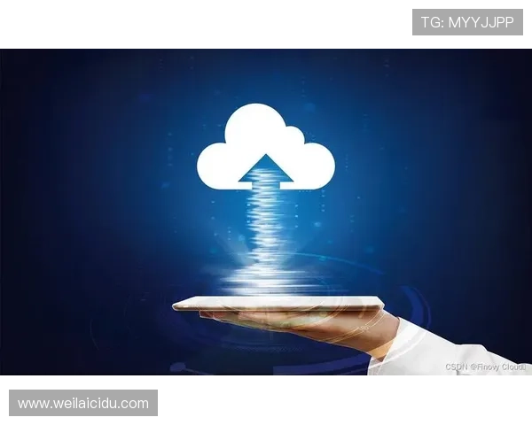 揭示开云电子集团在云计算服务中的独特优势与应用前景