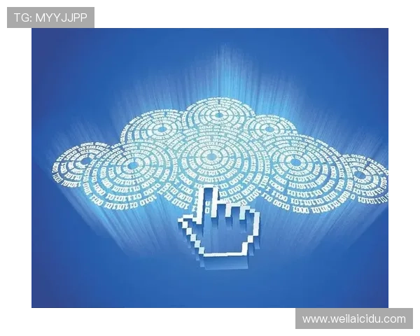 理解开云官方网站入口导航的布局与设计，提高用户体验